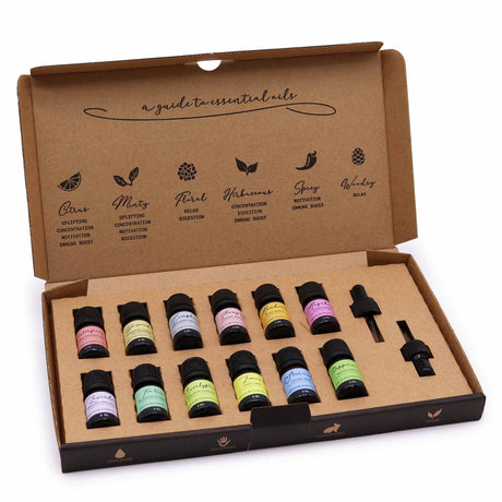 Sada esenciálních olejů aromaterapie 12 olejů po 5 ml