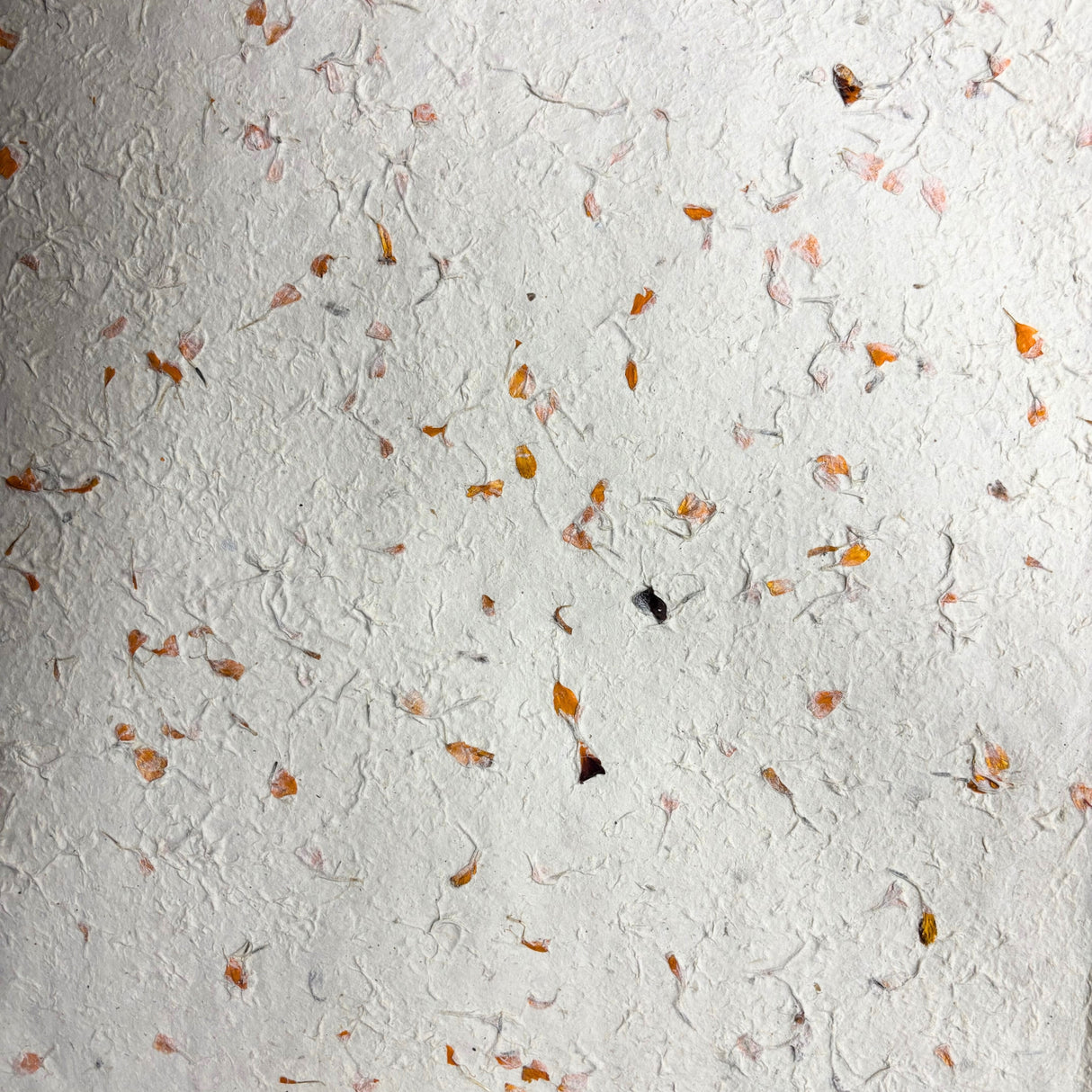 Lokta Craft & Wrapping Paper 51 × 76 cm - Marigold