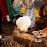 USB Dimmable Spiral Bedside Lamp with Wood Base
