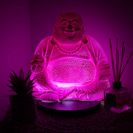 Nauraava Buddha -lamppu lohikäärmehedelmä - pyöreä jalusta