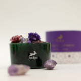 Conjunto Hop Hare de Cristais Difusores e Flores - The Moon