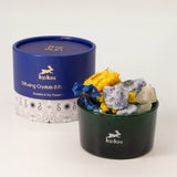 Conjunto Hop Hare de Cristais Difusores e Flores - O Sol