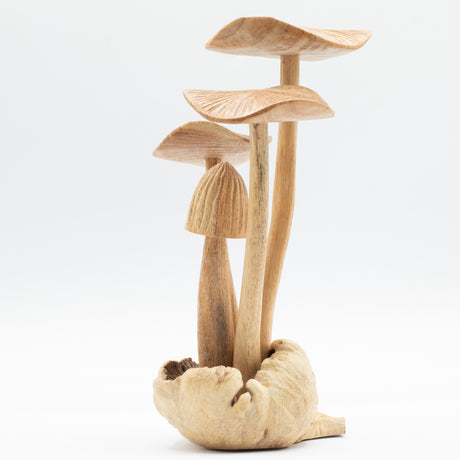 Sculptură artizanală din lemn cu tematică parazitară - Set de 4 ciuperci mari