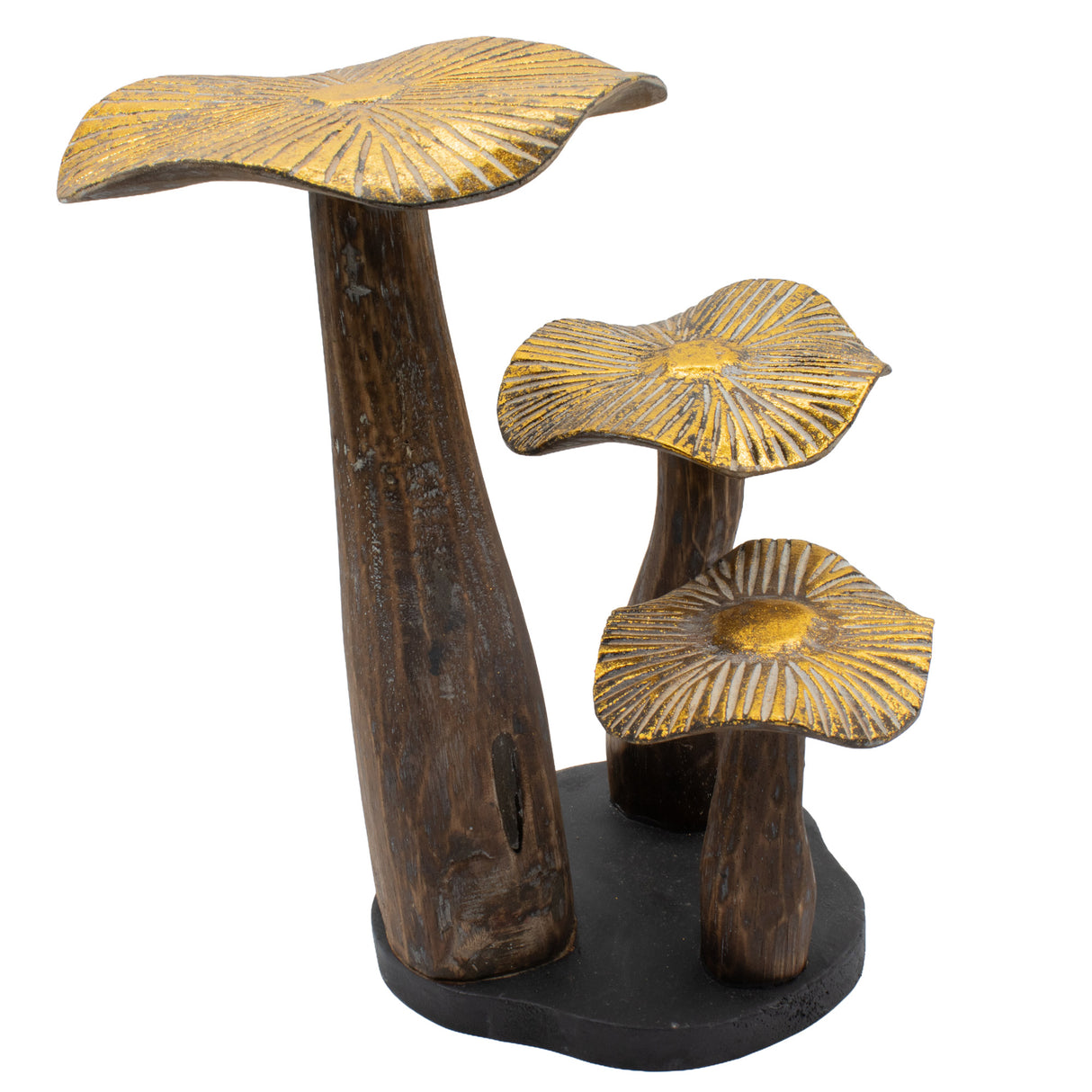 Velké zlaté umělecké houby - 32 cm - přírodní