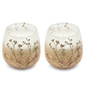 Velas em Frasco de Vidro Médio - Wildlight Woods