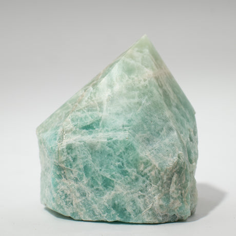 SHAMTAM