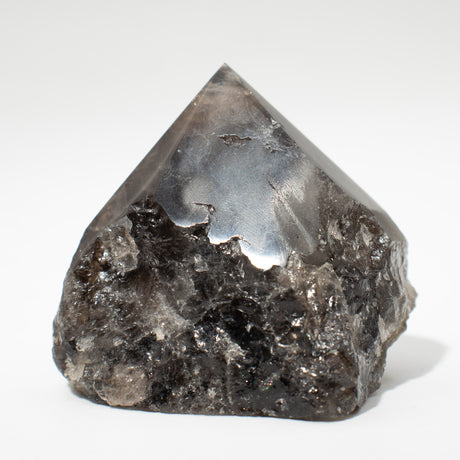 SHAMTAM