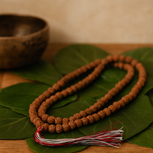 Rudraksha Japa Mala, 108 Beads, Mala Beads