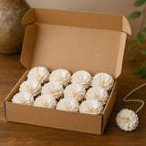 Sola Wood Diffuser Flowers Carnation On String 12-Pack