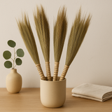 Set de 4 mături din iarbă pampas naturală