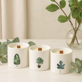 Illatos szójagyertya, mocsári viola fa kanóc