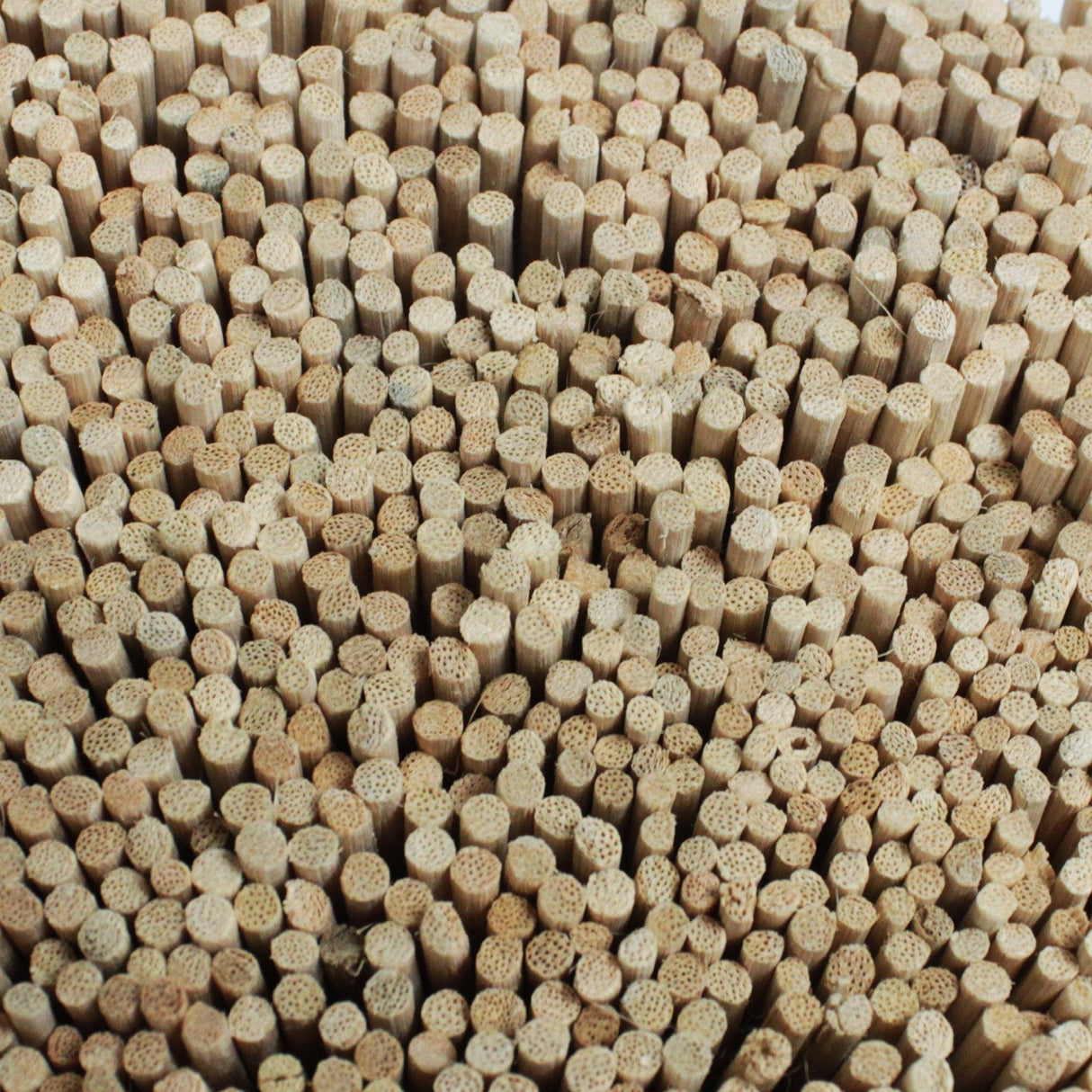 5kg of 2.5mm Reed Diffusers Approx 5000 - SHAMTAM.COM