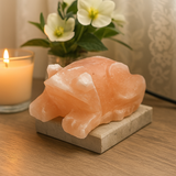 Himalayan Salt Lamp USB Multicolor Toad