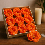 Tvålblommor Små Pion Orange, 10-pack
