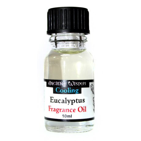 Eucalyptus Fragrance Oil 10ml - SHAMTAM.COM