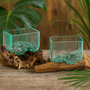 Recycled Molten Glass Bowl on Wood, Small, Glass Bowl on Driftwood