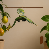 Drago Mobile Cocco Verde 37cm