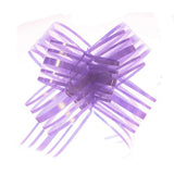 Fiocchi a tirante in organza viola confezione da 10