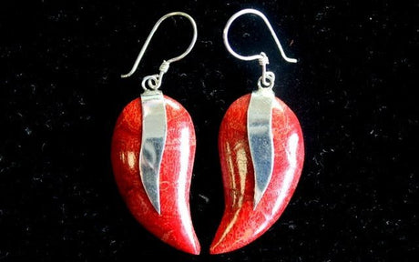 925 Silver Earrings - Mangos - SHAMTAM.COM