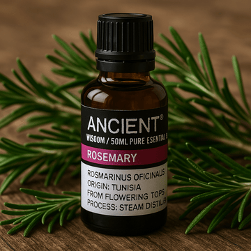 Rosemary Essential Oil 50ml Steam Distilled