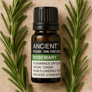 Huile essentielle de romarin distillée à la vapeur, 10 ml