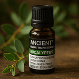Eukalyptus eteerinen öljy 10 ml