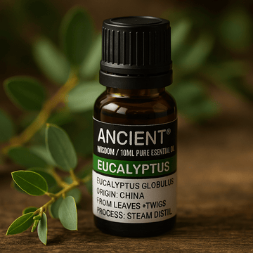 Eucalyptus Essential Oil 10 ml