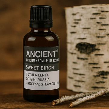 Sweet Birch Essential Oil Steam Distilled 50ml