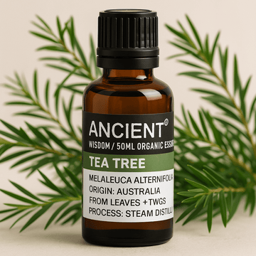 Tea Tree Eterisk Olje Økologisk 50ml