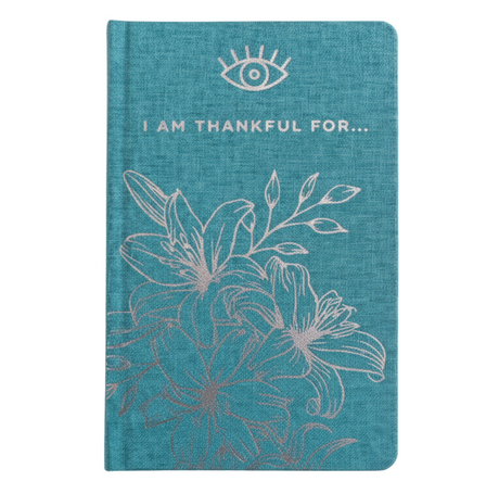 Blue Gratitude Journal With Silver Lining 120 Pages I Am Thankful For
