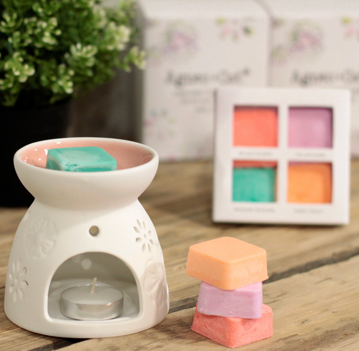 Wax Melter with Four Soy Wax Melts