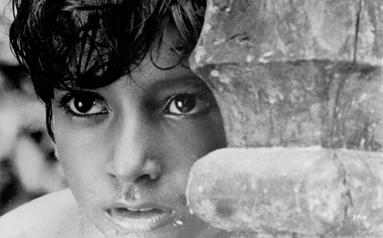 Ilustrovaný záber z filmu Pather Panchali: mladý Apu a jeho sestra Durga bežia cez pole bielych kvetov kašu vo vidieckom Bengálsku