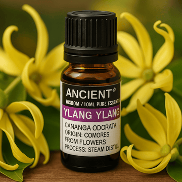 Aceite esencial de Ylang Ylang destilado al vapor 10 ml