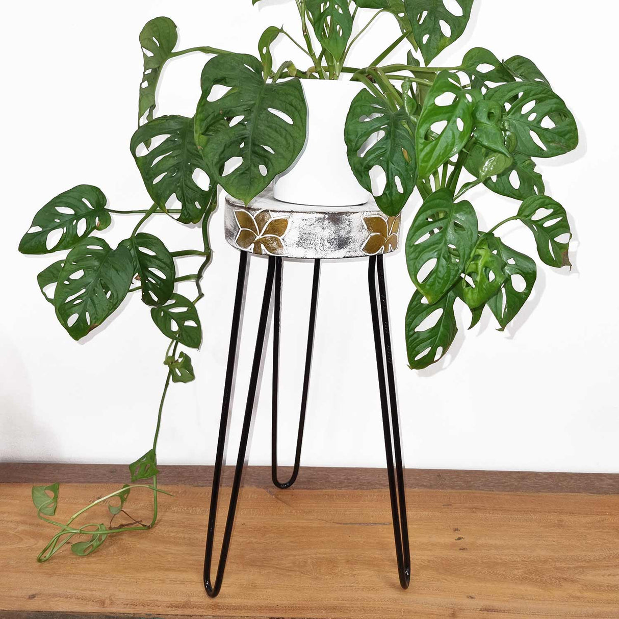 Albasia Wood Plant Stand - Whitewash - SHAMTAM.COM