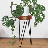 Albasia Wood Plant Stand - Whitewash - SHAMTAM.COM