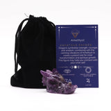 Amethyst Dragon Head Small - 45x30x28mm - SHAMTAM.COM