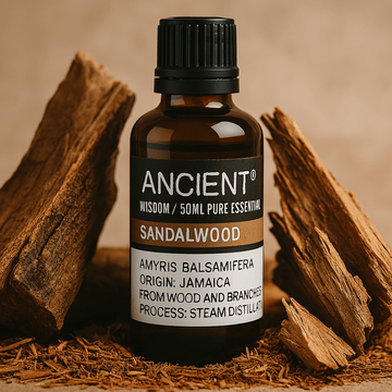 Amyris Essential Oil West Indian Sandalwood 50ml