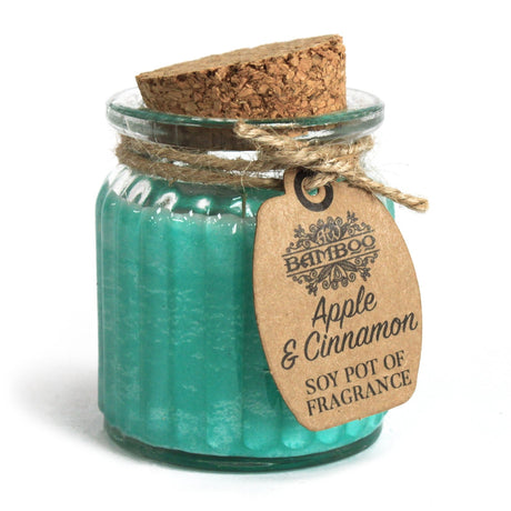 Apple & Cinnamon Soy Pot of Fragrance Candles - SHAMTAM.COM