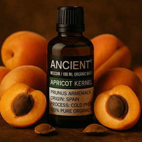 Apricot Kernel Organic Base Oil - 100ml - SHAMTAM.COM
