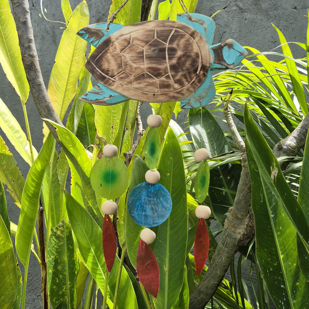 Aqua Turtle Carving and Copis Drop - SHAMTAM.COM