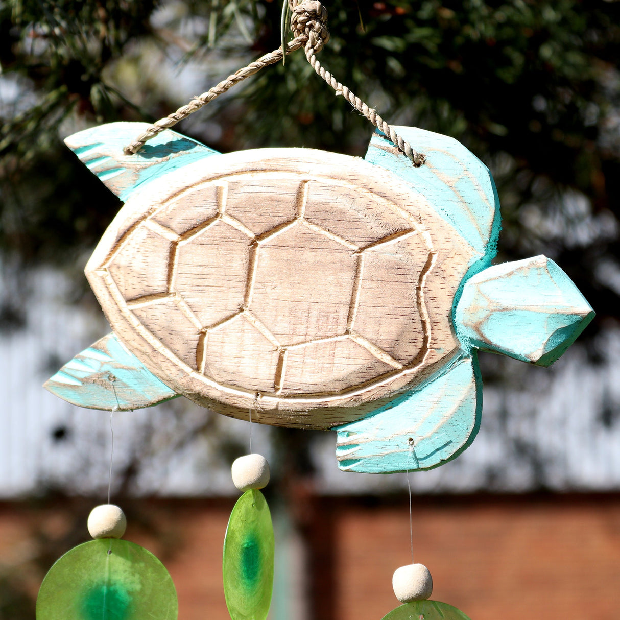 Aqua Turtle Carving and Copis Drop - SHAMTAM.COM
