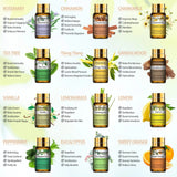 Aroma Essential Oils Set - SHAMTAM