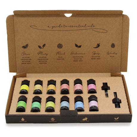 Aromatherapy Essential Oils Set - Starter Pack - SHAMTAM.COM