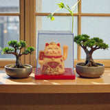 Миниатюрный солнечный кот с деньгами в коробке – жёлтый