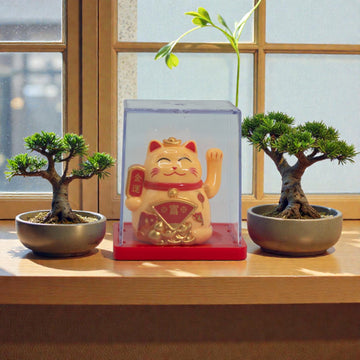 Mini chat porte-bonheur solaire dans une boîte – Jaune