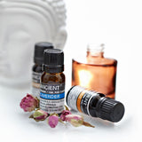 French Lavender Essential Oil 10 ml