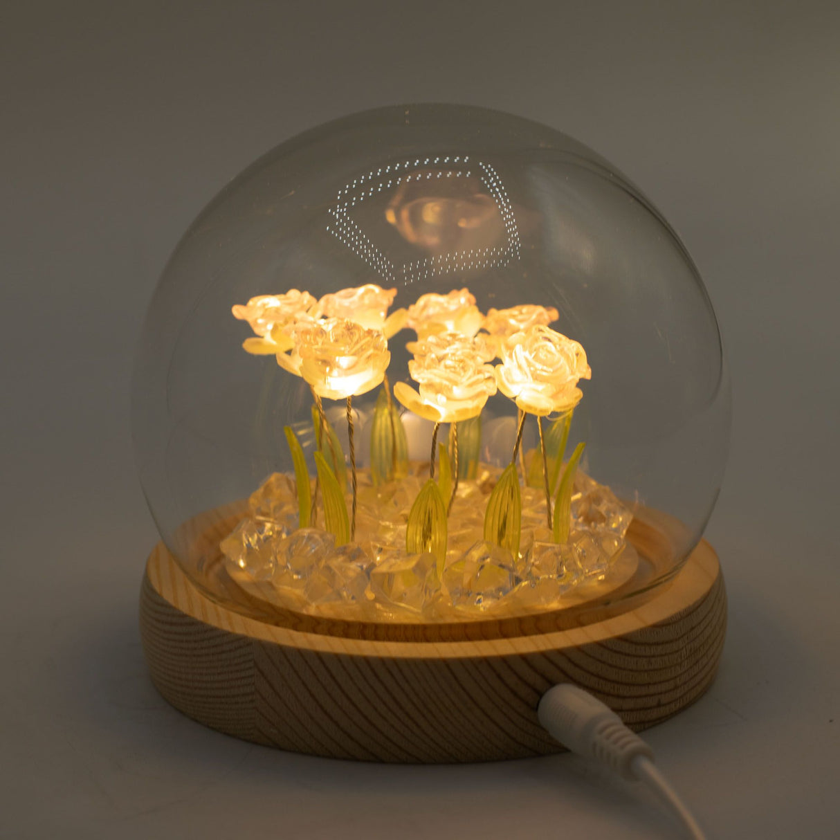 Floral Glow Garden Dome – 10 Pink Roses – LED USB