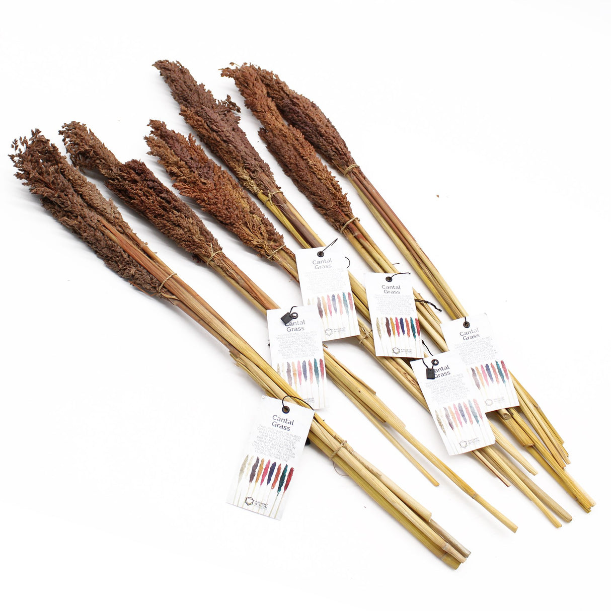 Cantal Grass Bunch Chocolate – Set of 6