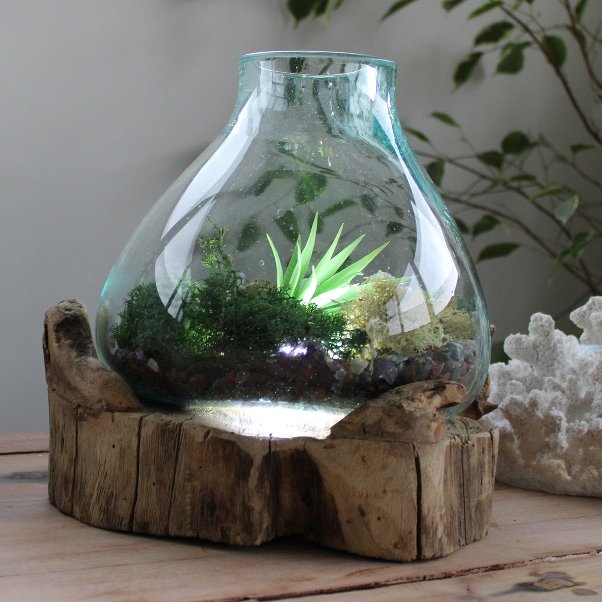 Aquarium en verre fondu avec lumière, 3.7L 30cm