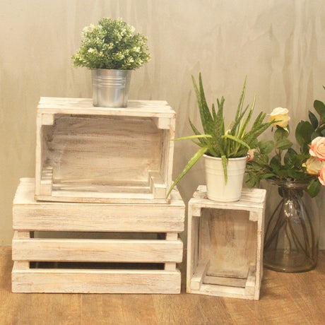 Fruit Box Set of 3 – Whitewash